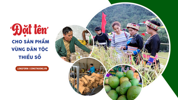 Longform | ‘Đặt tên’ cho sản phẩm vùng dân tộc thiểu số