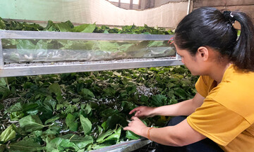 Các HTX Đam Rông nâng tầm nông sản, mở rộng thị trường tiêu thụ