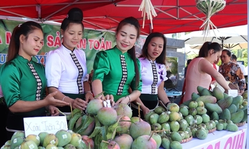 Kết nối văn hóa và chuỗi giá trị, mở rộng thị trường nông sản-thổ cẩm