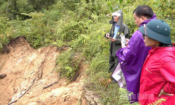 Tuyên Quang tập trung khắc phục thiệt hại nặng do mưa lũ kéo dài