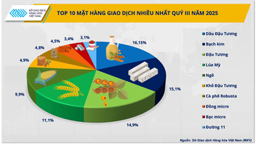 Thị phần môi giới hàng hóa: Ổn định ở top, sôi động đường đua phía sau