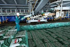 Ngày 10/9 chính thức trở thành ngày truyền thống của Phân bón Cà Mau