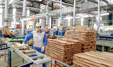 Chống lẩn tránh phòng vệ thương mại: Bảo vệ uy tín hàng Việt