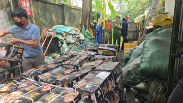 Phát hiện hộ kinh doanh hơn 1,6 tấn lạp xưởng không rõ nguồn gốc