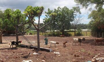 Chương trình 1719: Bước tiến bền vững cho đồng bào dân tộc thiểu số