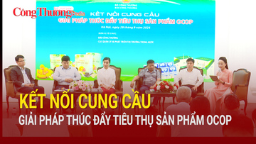 TỌA ĐÀM: Kết nối cung cầu “Giải pháp thúc đẩy tiêu thụ sản phẩm OCOP”