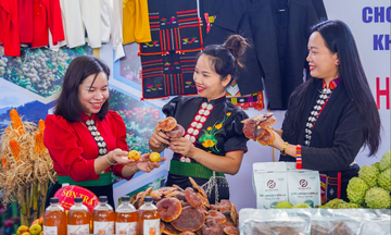 Mở cơ hội tiêu thụ từ Hội chợ Nông sản và OCOP Tây Bắc - Sơn La 2025