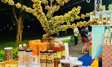 Gia Lai thúc đẩy tiêu thụ sản phẩm vùng đồng bào dân tộc thiểu số