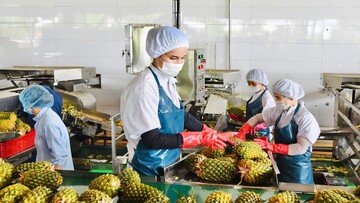 Gia Lai bứt tốc quý IV: Chuyển từ quản lý sang kiến tạo