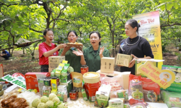 Truy xuất nguồn gốc: Động lực để ‘xanh hóa’ thương mại điện tử