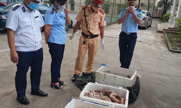 Phú Thọ: Phát hiện 156 kg nội tạng bốc mùi, kịp thời xử lý