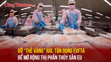 Gỡ 'thẻ vàng' IUU, tận dụng EVFTA để mở rộng thị phần thủy sản EU