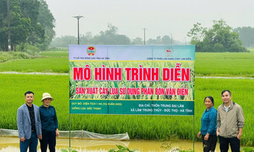 Bài 1: Ngành hóa chất và vai trò đảm bảo an ninh lương thực quốc gia