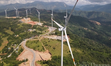 Quảng Trị nghiên cứu, khảo sát các vị trí cho dự án điện gió
