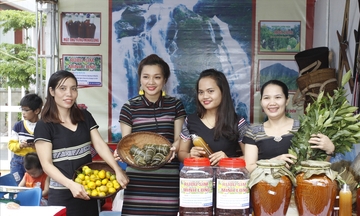 Chuỗi giá trị và thương hiệu nâng tầm nông sản miền núi