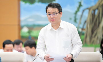 Cân nhắc phân cấp thẩm quyền quyết định, phê duyệt quy hoạch