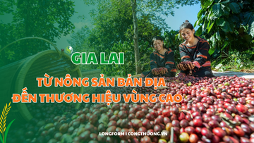 Longform I Từ nông sản bản địa đến thương hiệu vùng cao Gia Lai