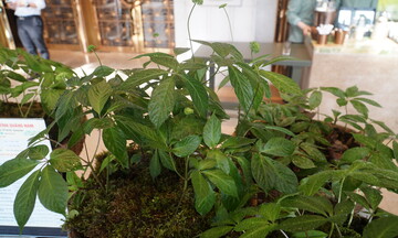 Đà Nẵng hoàn tất công tác chuẩn bị, sẵn sàng tham gia Hội chợ Mùa Thu