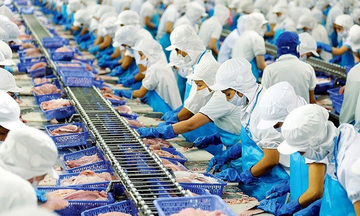 Thuỷ sản Việt Nam cần chiến lược tổng thể để mở rộng thị trường EU