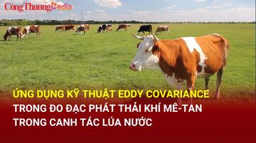 Ứng dụng kỹ thuật Eddy Covariance trong đo đạc phát thải khí metan