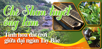 Longform | Chè Shan tuyết ống lam: Tinh hoa đất trời giữa Tây Bắc