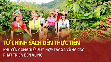 Khuyến công tiếp sức hợp tác xã vùng cao phát triển bền vững