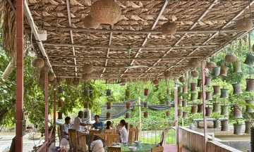 Mở rộng thị trường cá tầm Phong Thổ nhờ liên kết và xúc tiến tiêu thụ 