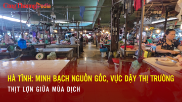 Hà Tĩnh: Minh bạch nguồn gốc, vực dậy thị trường thịt lợn mùa dịch