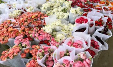 Thị trường quà tặng 20/10 sôi động, 'hoa vàng' lên ngôi