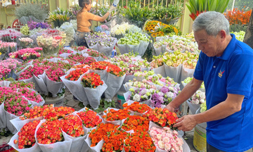 Đường phố Hà Nội ngập sắc hoa trước ngày 20/10