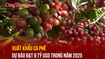 Xuất khẩu cà phê dự báo đạt 9 tỷ USD trong năm 2025