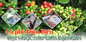 Longform | Cà phê Điện Biên: ‘Hạt ngọc nâu’ giữa đại ngàn