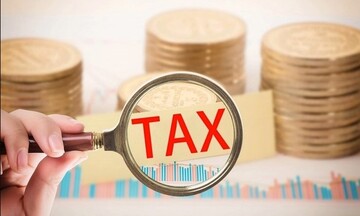 Cưỡng chế thuế Công ty Hoàng Long Tuyên Quang do nợ hơn 4,3 tỷ đồng