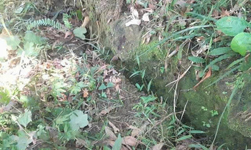 Xuất hiện vết nứt dài 100m sau núi, Quảng Ngãi sơ tán khẩn 61 hộ dân