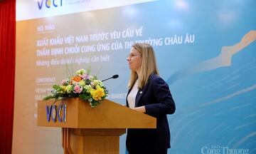 Thẩm định chuỗi cung ứng: Thách thức doanh nghiệp xuất khẩu sang EU