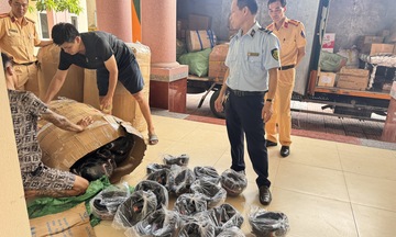 Ninh Bình: Phạt 16 triệu đồng, tiêu hủy 280 mũ bảo hiểm giả nhãn hiệu HONDA