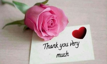 Gợi ý 7 loài hoa ý nghĩa tặng thầy cô ngày Nhà giáo Việt Nam 20/11