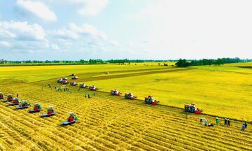 Nông sản Việt trước cơ hội cạnh tranh bằng 'dấu chân carbon thấp'