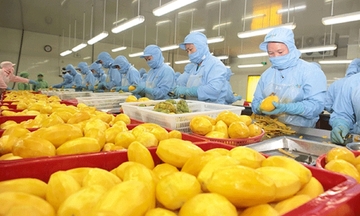 Việt Nam giữ vị trí thứ ba cung cấp rau quả cho thị trường Hàn Quốc