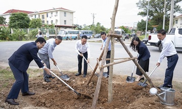400 cây xanh được trồng tại Phú Thọ, lan toả thông điệp phát triển bền vững