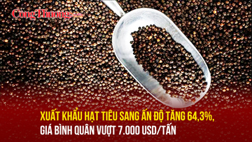 Xuất khẩu hạt tiêu sang Ấn Độ tăng 64,3%, giá bình quân vượt 7.000 USD/tấn