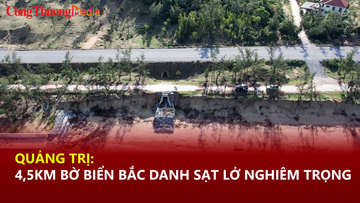 Quảng Trị: 4,5km bờ biển Bắc Gianh sạt lở nghiêm trọng