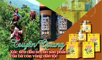 Longform | Tuyên Quang: Xúc tiến đầu ra cho sản phẩm vùng dân tộc