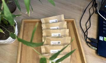 HTX V-Shantea và hành trình đưa trà Shan tuyết vươn tầm quốc tế