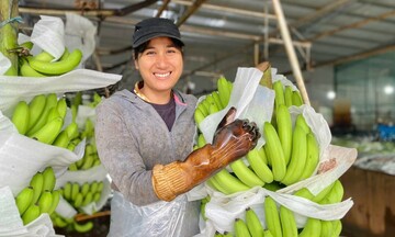 Gia Lai: Vùng nguyên liệu 'vàng' cho nông sản xuất khẩu