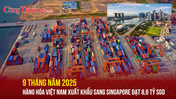 9 tháng 2025: Hàng hóa Việt Nam xuất khẩu sang Singapore đạt 8,6 tỷ SGD