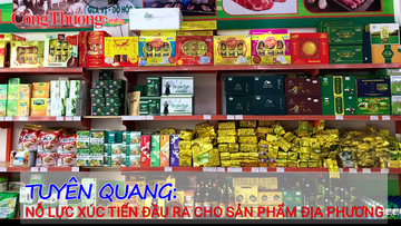 Tuyên Quang nỗ lực xúc tiến đầu ra cho sản phẩm địa phương