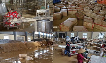 Điểm tựa vững chắc giúp khách hàng vực dậy sản xuất