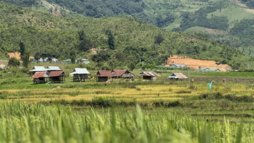 Quảng Ngãi: Đổi thay làng Xốp Dùi