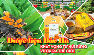 Longform | Dược liệu Bắc Hà: Khát vọng từ núi rừng vươn ra thế giới